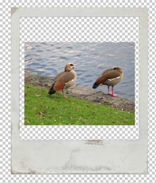 Photoshop Tutorial Polaroid Framing 03