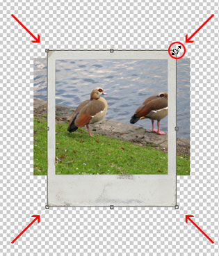 Photoshop Tutorial Polaroid Framing 04